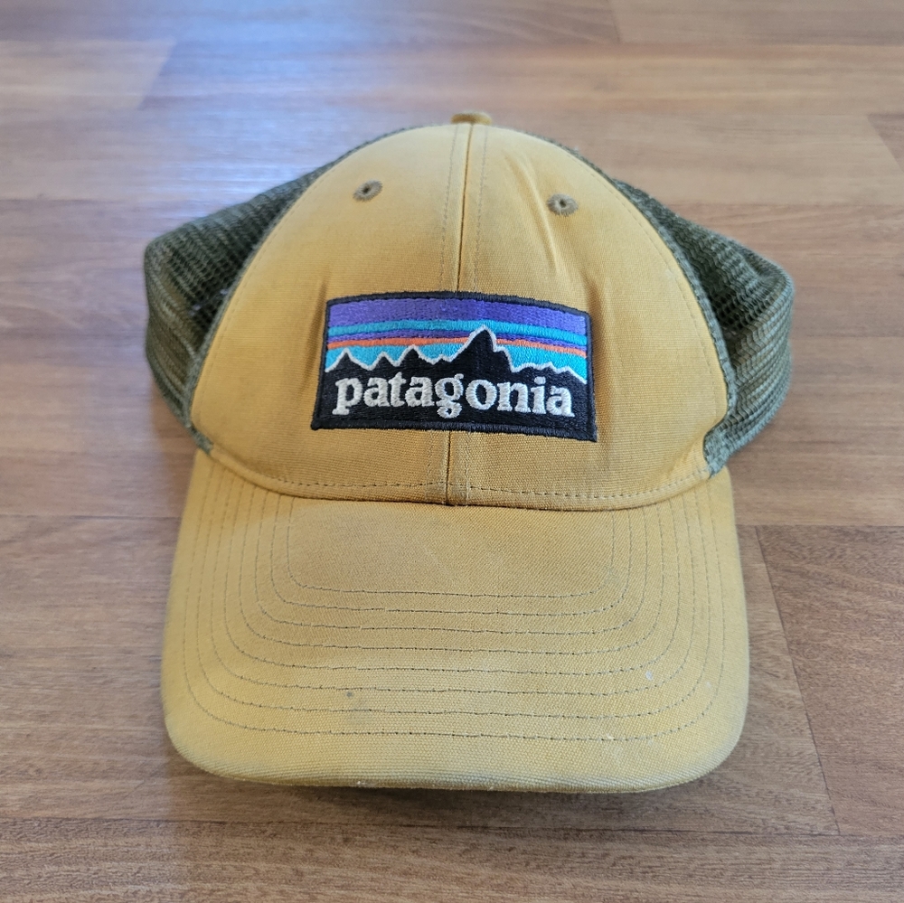 Patagonia Snapback Hat